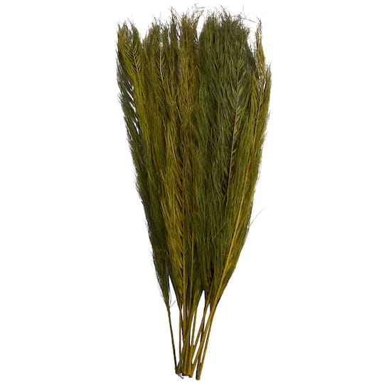 35" Natural Dried Palm Leaf Bundle with Feather-Inspired Stems